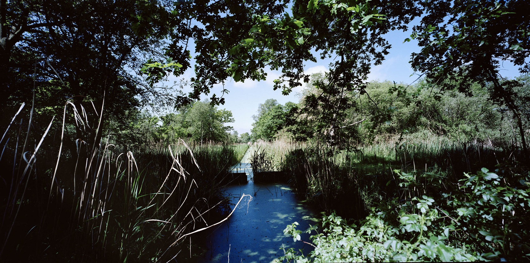 Great Fen Project David Rose