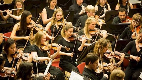 string section of an orchestra - fees and funding