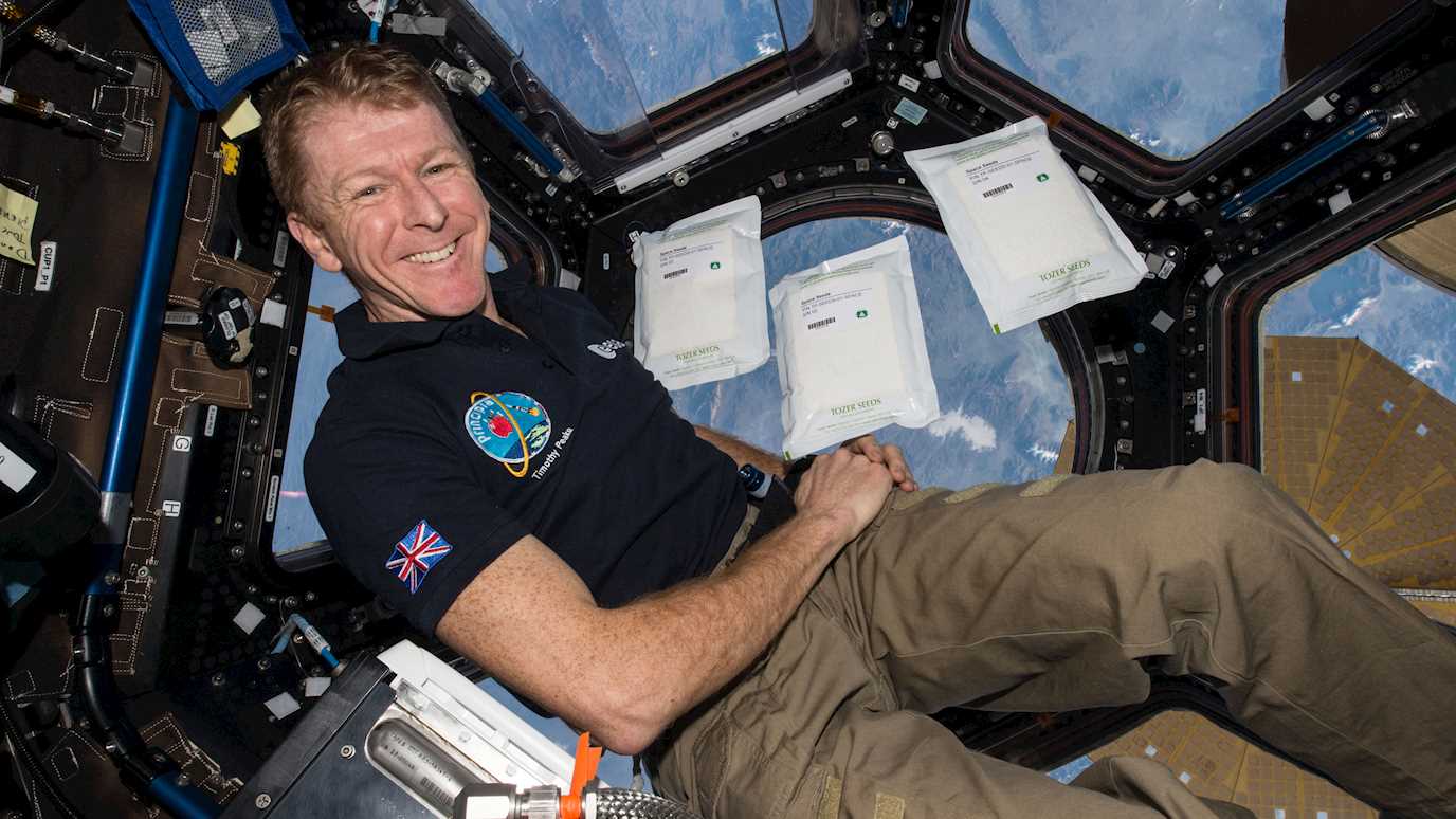 Major Tim Peake onboard the International Space Station with the seeds. Credit ESA/NASA