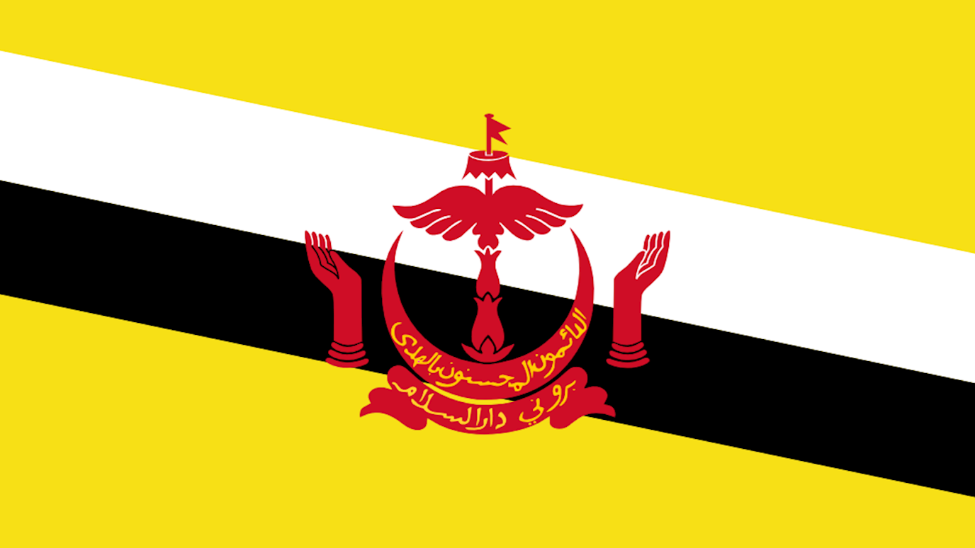 Bruneian flag