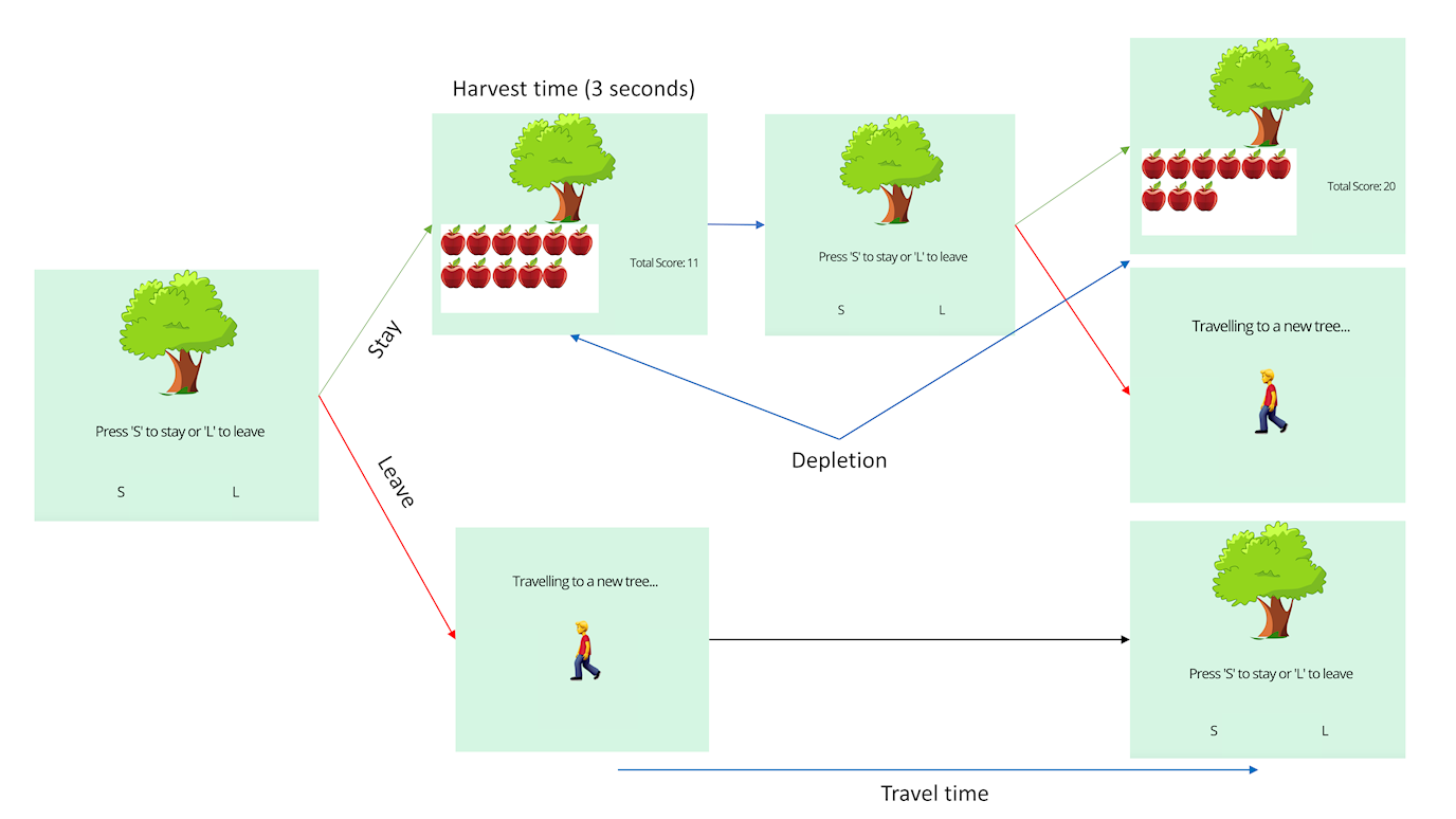 Foraging Outline Final.png (1)