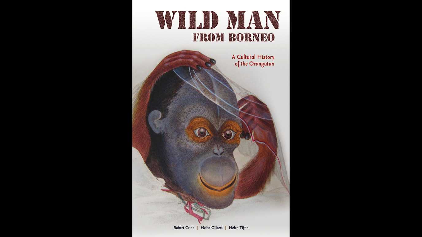 Wild Man of Borneo: A Cultural History of the Orangutan: By Robert Cribb, Helen Gilbert, Helen Tiffin
