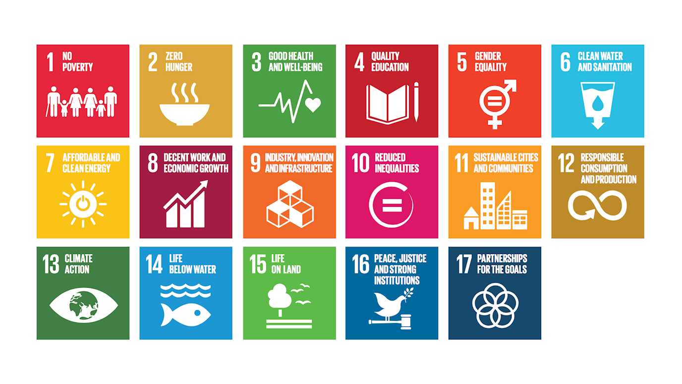 17 SDG Goals.jpg