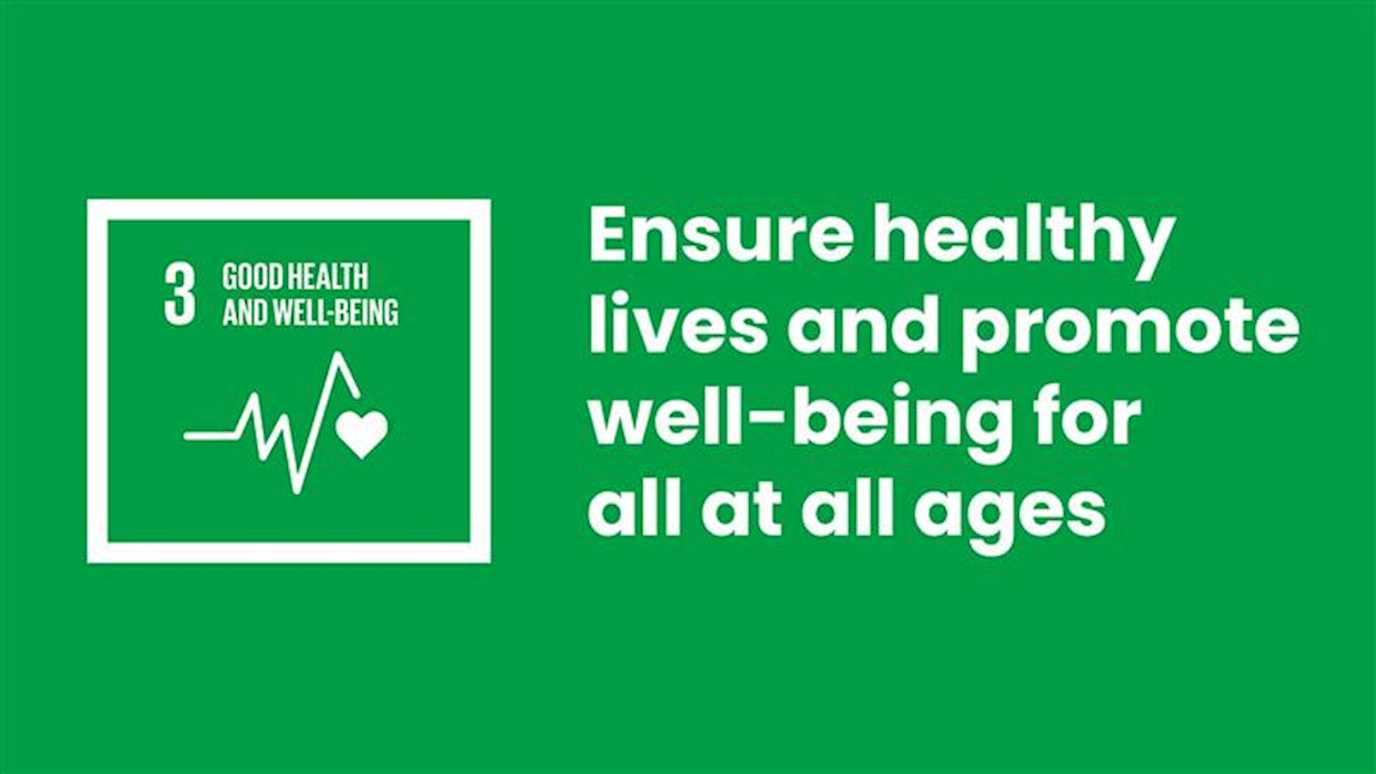 sdg 3 good health and wellbeing essay