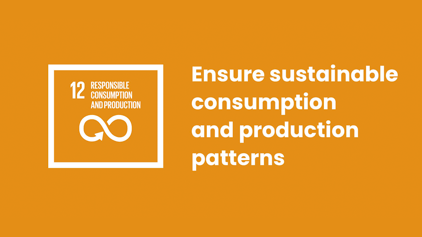 SDG 12 logo for website.png