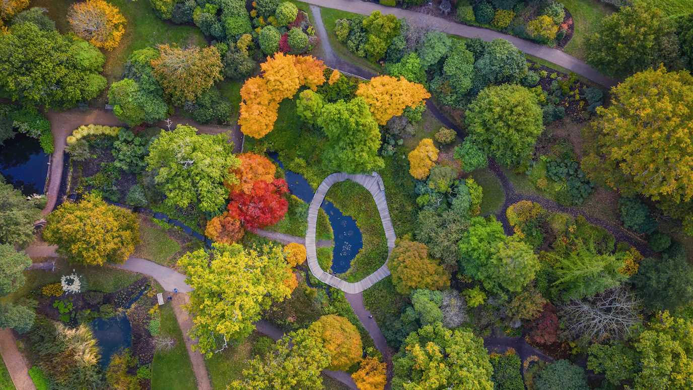 Wakehurst green landscape