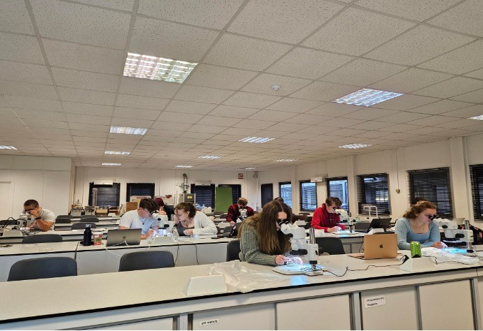 A group of people sitting at desks in an office
Description automatically generated