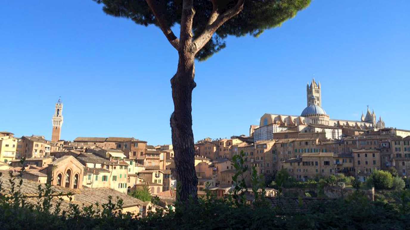 Year abroad, Holly Parish, Siena, Italy - Modern Languages, Literatures and Cultures