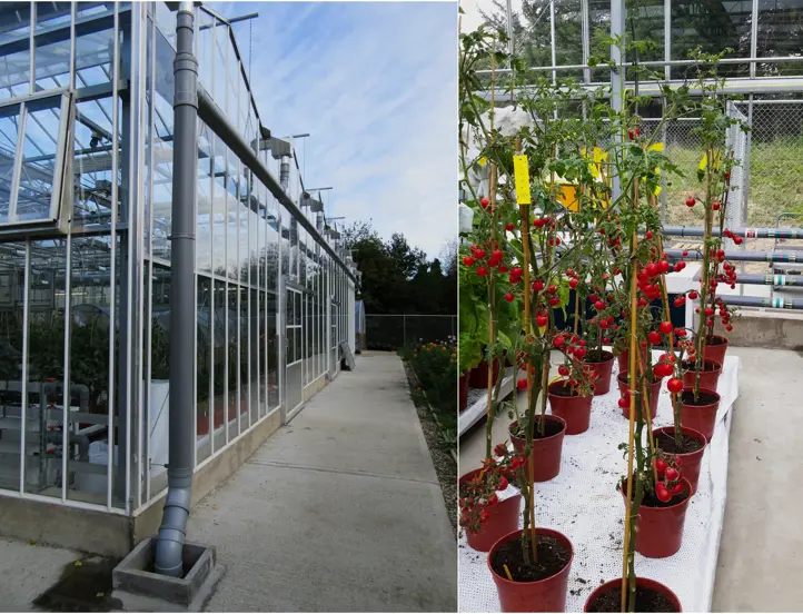 Bio Sci Greenhouse