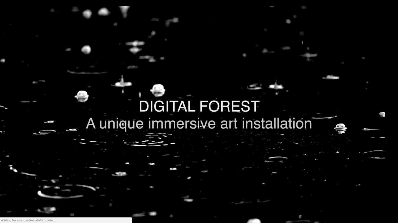 Digital Forest