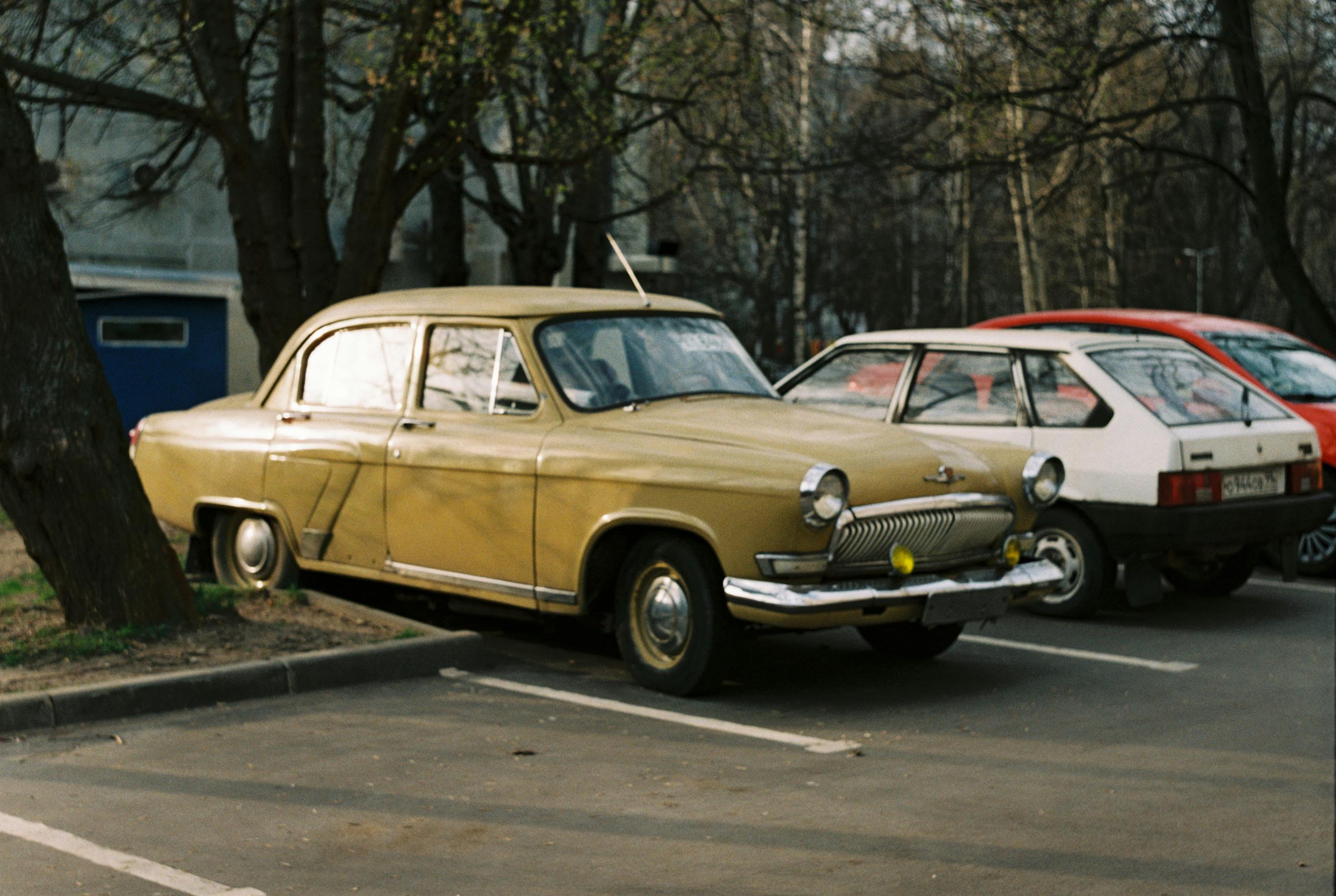 Pexels Tarasov Film Ph 162805844 10840683