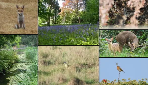 Biodiverse Campus