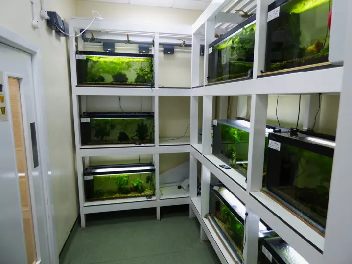 Bio Sci Freshwater Aquarium