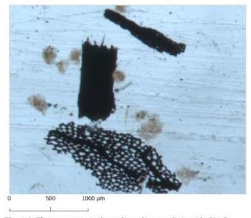 Image of Charcoal fragments