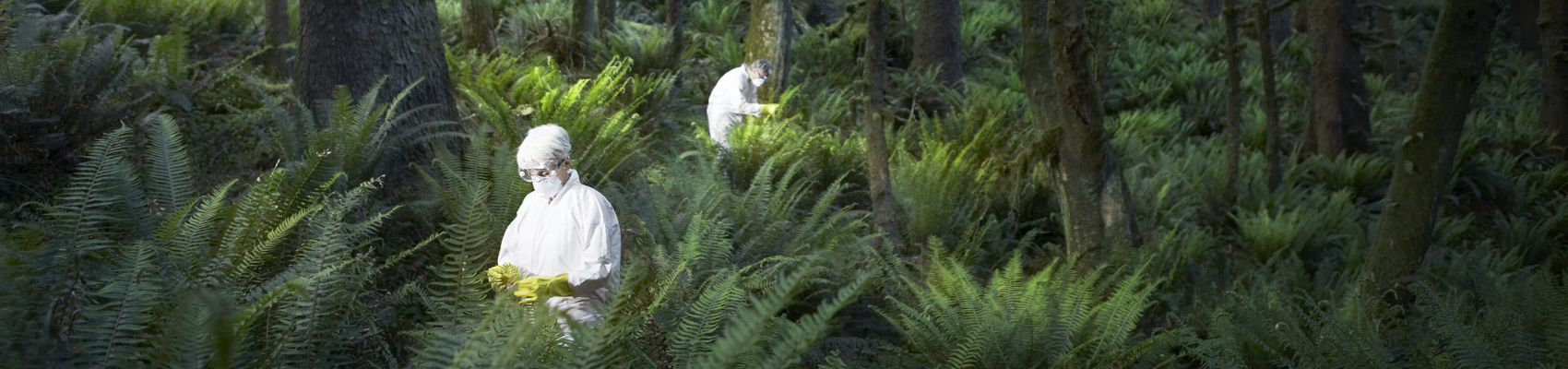 Royal Holloway Scientists In Forest Images Brand Header