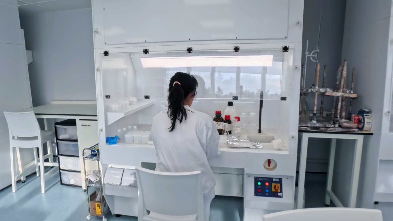 Queenie working in the lab using an ISO Class 5 standard laminar flow hood – part of the equipment in the clean lab at the Department of Earth Sciences 