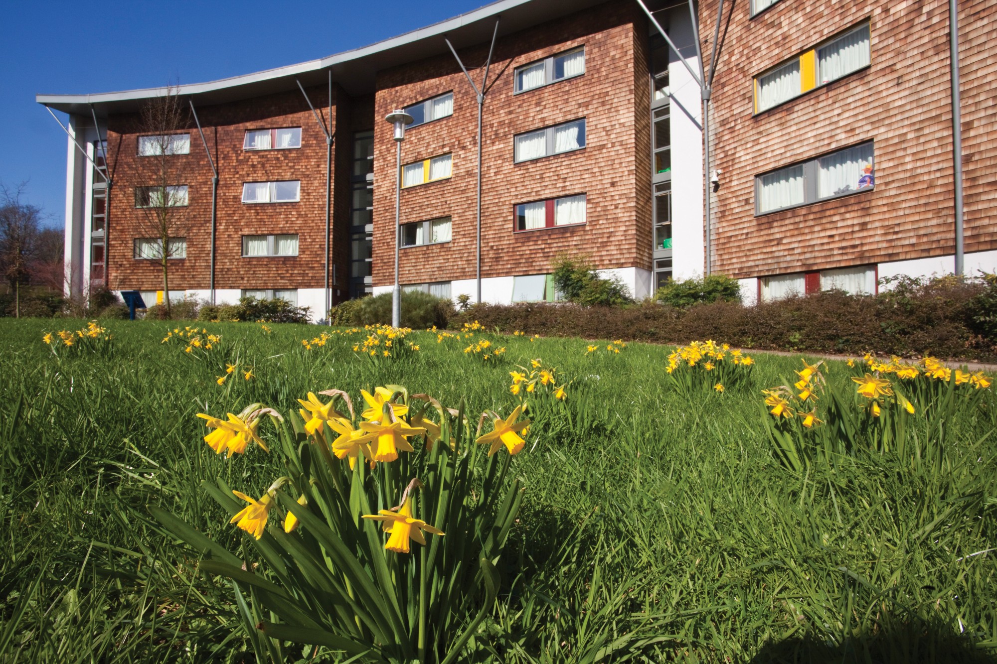 Student halls with flowers